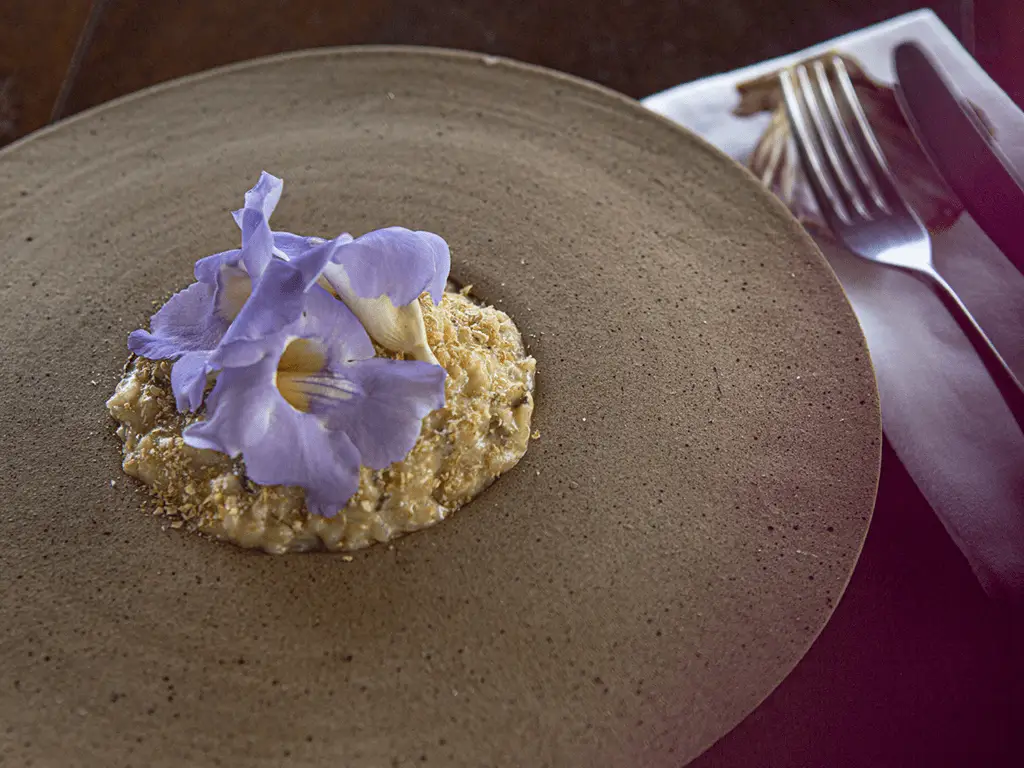 Gastronomia da Casa Luz e Restaurante Pindorama.